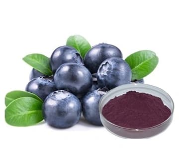 Vaccinium Uliginosum Berry Extract